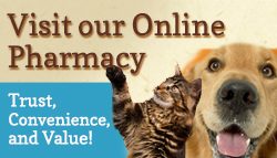 Delmar Animal Hospital Pharmacy