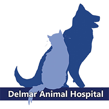 Delmar Animal Hospital Logo